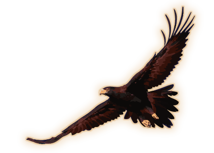 Aloft_Australian_Productions_White_eagleglow
